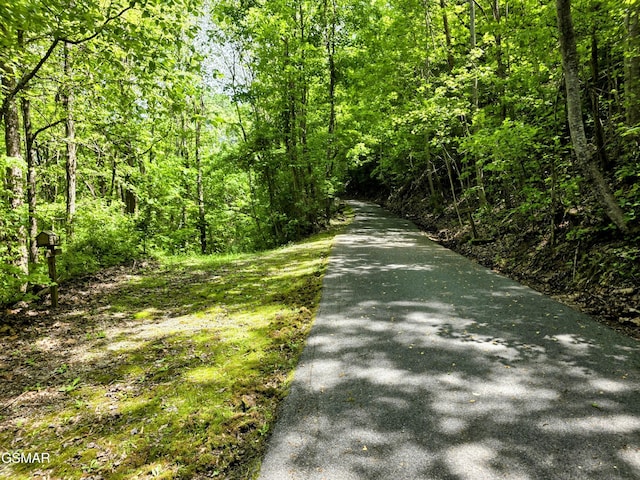 view of street featuring a wooded view