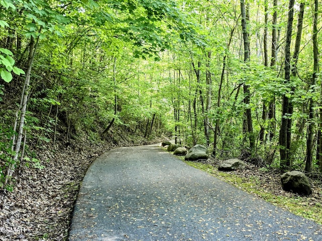 view of property's community featuring a forest view