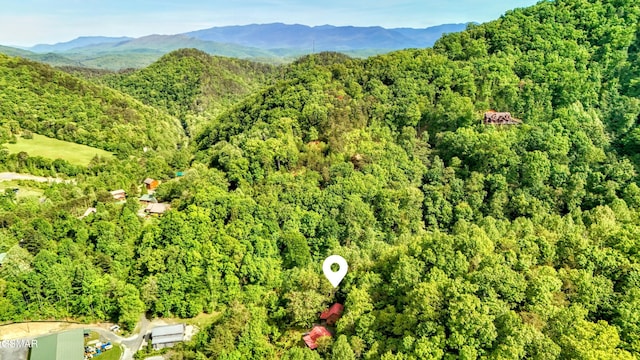 bird's eye view with a forest view and a mountain view