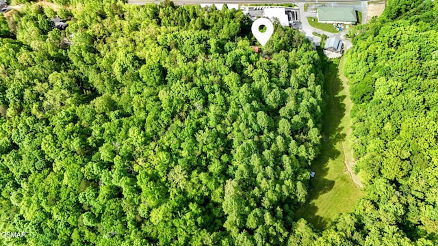 aerial view