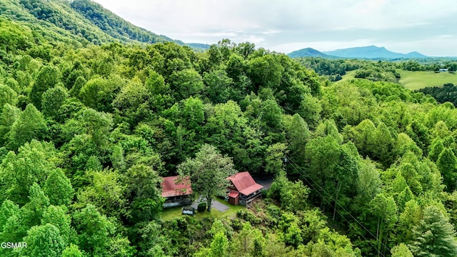 birds eye view of property featuring a forest view and a mountain view
