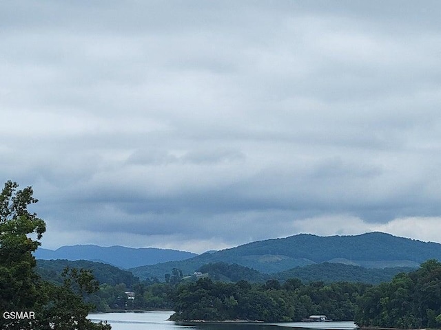 2593 Shoreline Vis, Morristown, TN 37814 - photo 39