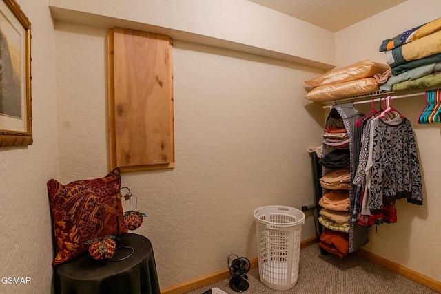 spacious closet featuring carpet floors