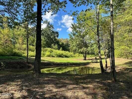 240 Jolene Way Lot 88, Sevierville, TN 37876 - photo 35
