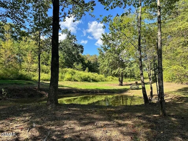 240 Jolene Way Lot 88, Sevierville, TN 37876 - photo 38