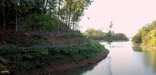 240 Jolene Way Lot 88, Sevierville, TN 37876 - photo 16