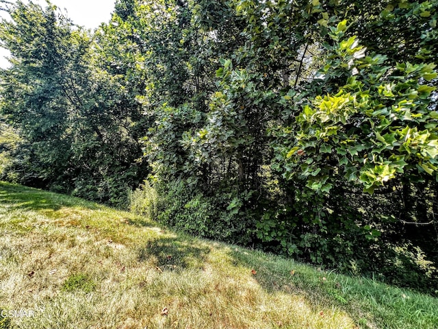 1042 Fine Glen Dr, Sevierville, TN 37862 - view of undeveloped land