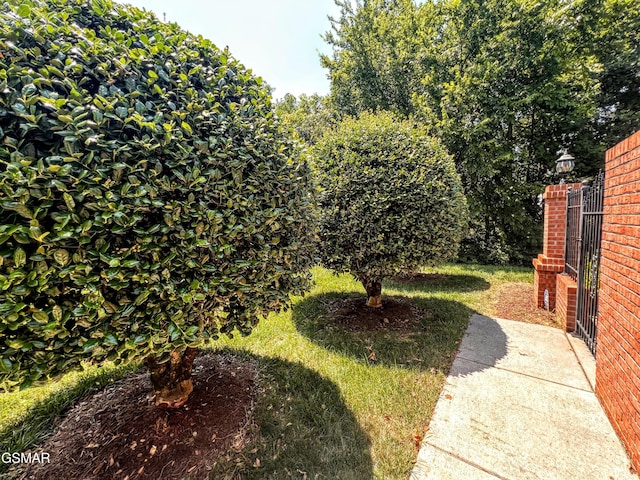 1042 Fine Glen Dr, Sevierville, TN 37862 - view of yard