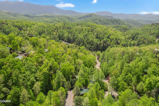 birds eye view of property featuring a view of trees and a mountain view