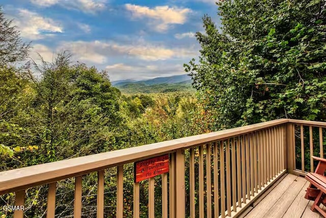 3607 Birdie Ln, Gatlinburg, TN 37738 - photo 3