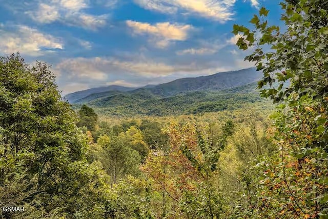 3607 Birdie Ln, Gatlinburg, TN 37738 - photo 2