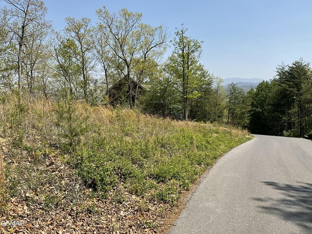 LOT49 Cats Paw Ln, Sevierville, TN 37862 - photo 2