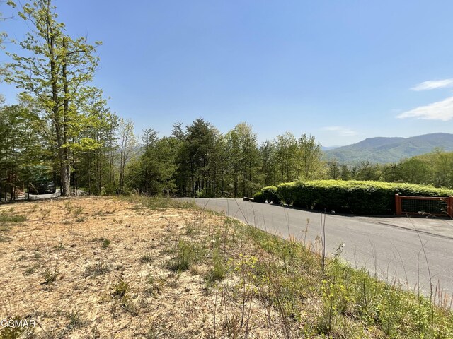 LOT49 Cats Paw Ln, Sevierville, TN 37862 - photo 1