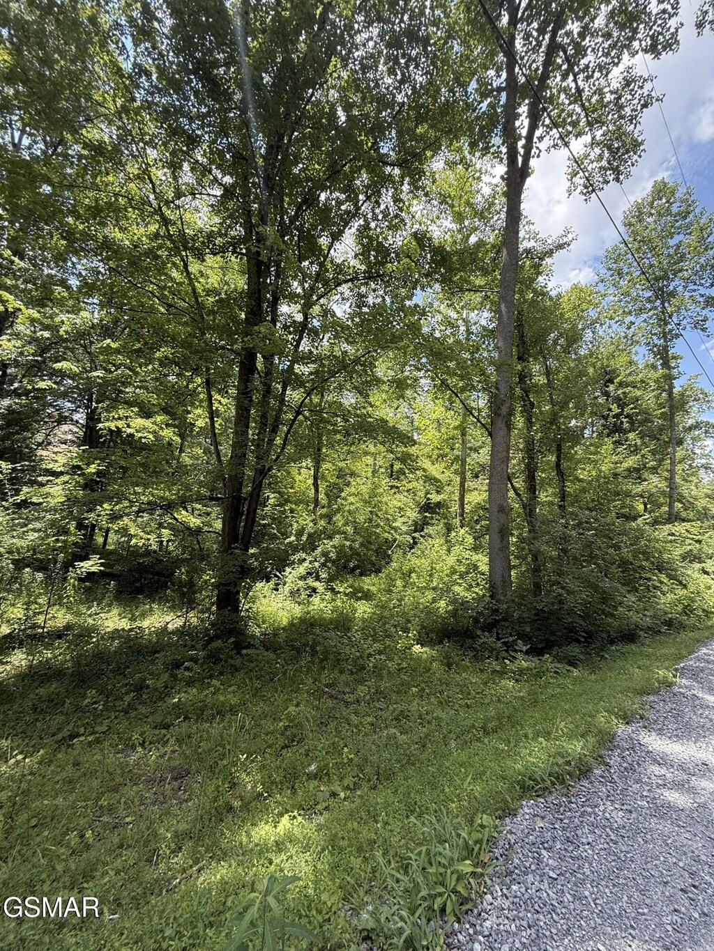 0 Loraine St, Pigeon Forge, TN 37863 - photo 2