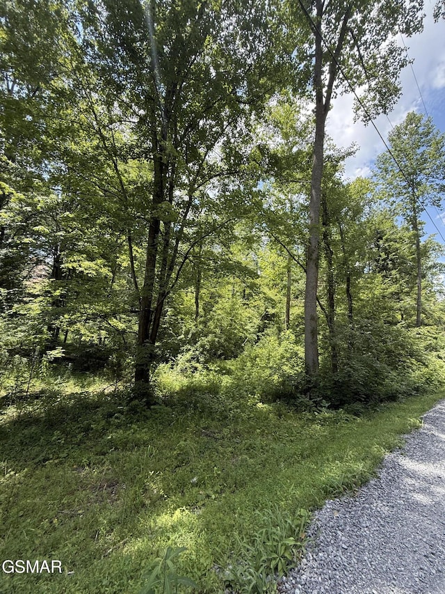 0 Loraine St, Pigeon Forge, TN 37863 - photo 2