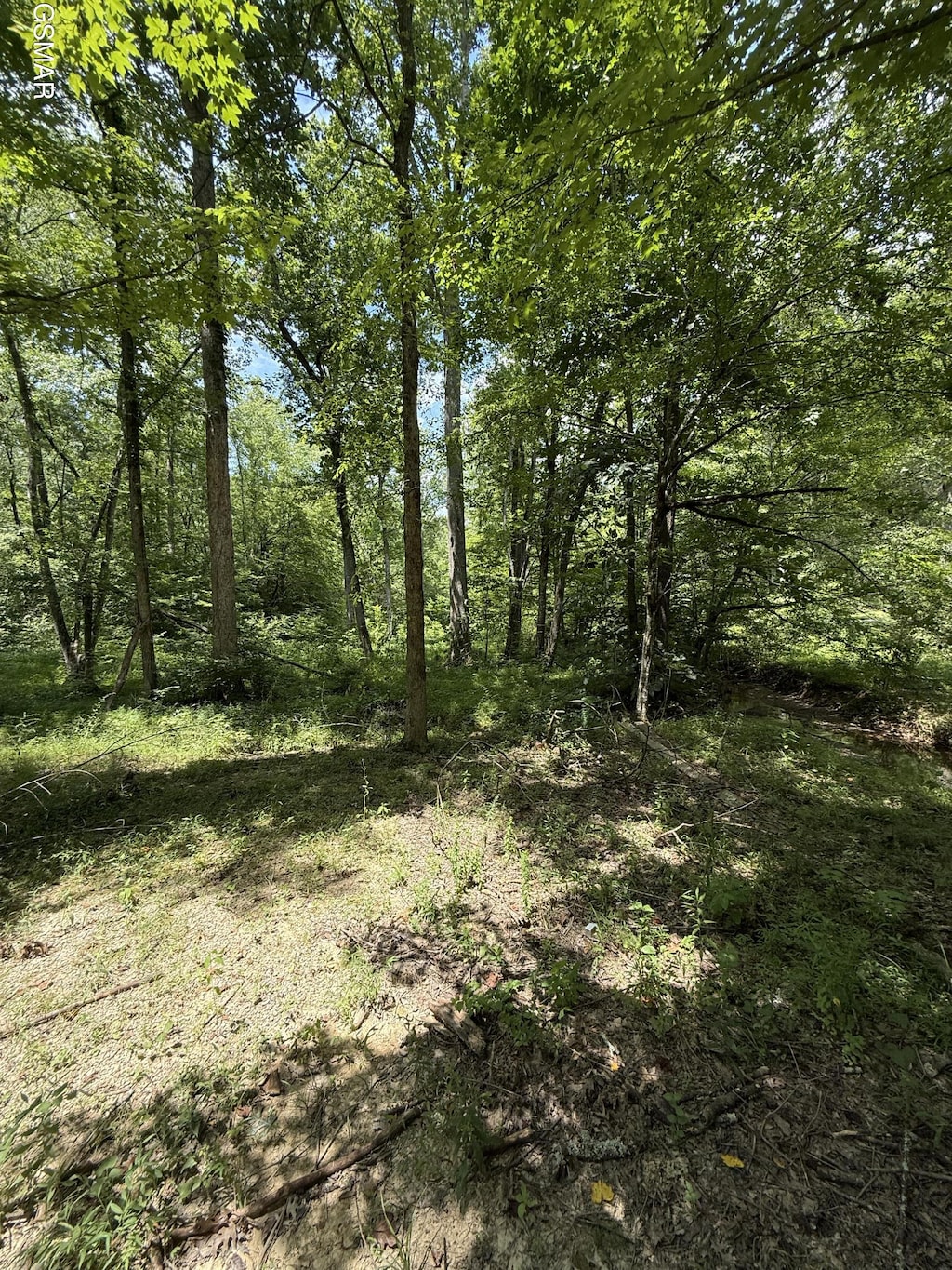0 Loraine St, Pigeon Forge, TN 37863 - photo 1
