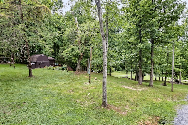 2655 Craig Circle Way, Cosby, TN 37722 - view of grassy yard with an outbuilding and a barn