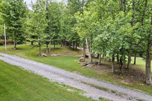 2655 Craig Circle Way, Cosby, TN 37722 - view of dirt / gravel road