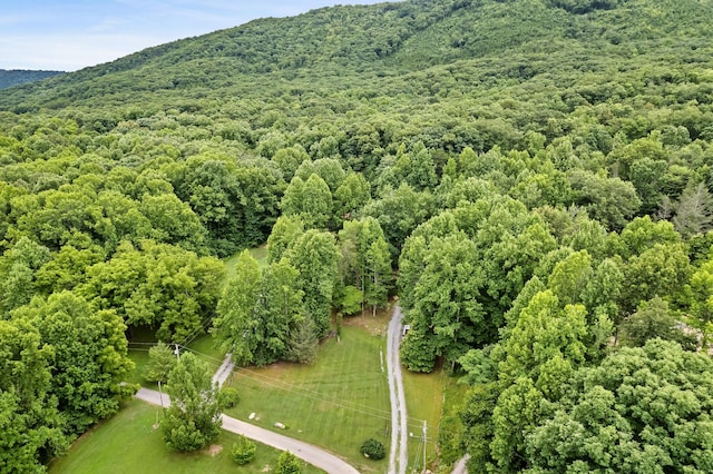 2655 Craig Circle Way, Cosby, TN 37722 - bird's eye view of a forest