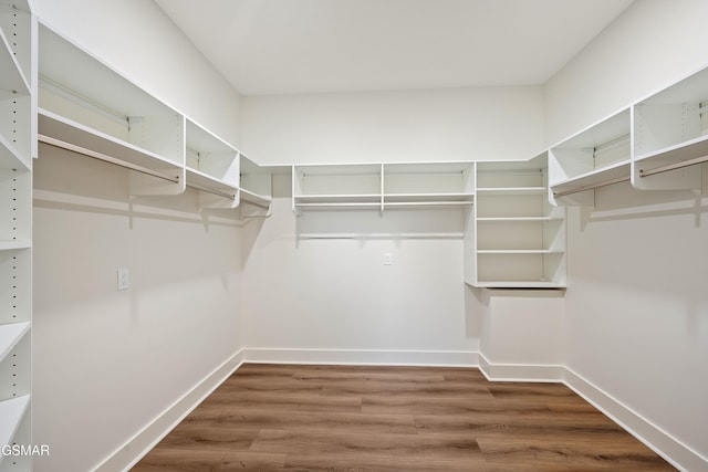 walk in closet with wood-type flooring