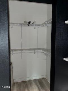 spacious closet featuring light hardwood / wood-style flooring