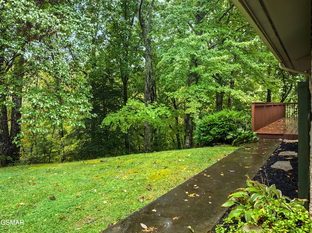 view of yard with a deck