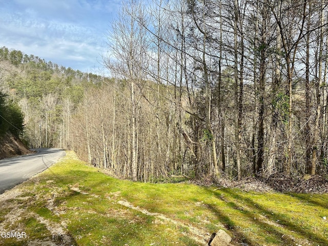 Listing photo 2 for LOT1 Mountain Dreams Way, Sevierville TN 37862