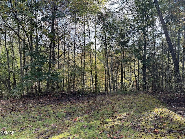 Listing photo 3 for LOT1 Mountain Dreams Way, Sevierville TN 37862