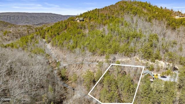 LOT57 Cove Hollow Rd, Cosby TN, 37722 land for sale