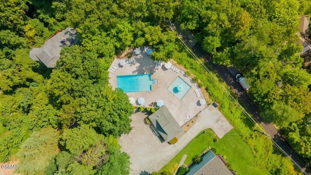 788 Chestnut Dr, Gatlinburg, TN 37738 - photo 59