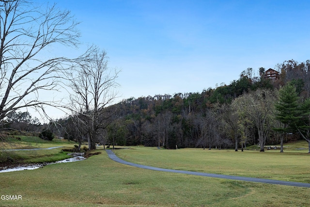 surrounding community featuring a yard