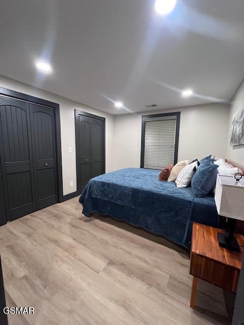 2359 Grassy Branch Rd, Sevierville, TN 37876 - bedroom with wood finished floors and multiple closets