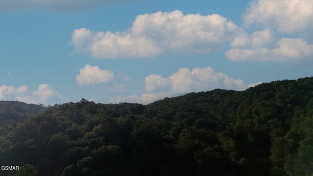 2359 Grassy Branch Rd, Sevierville, TN 37876 - mountain view featuring a forest