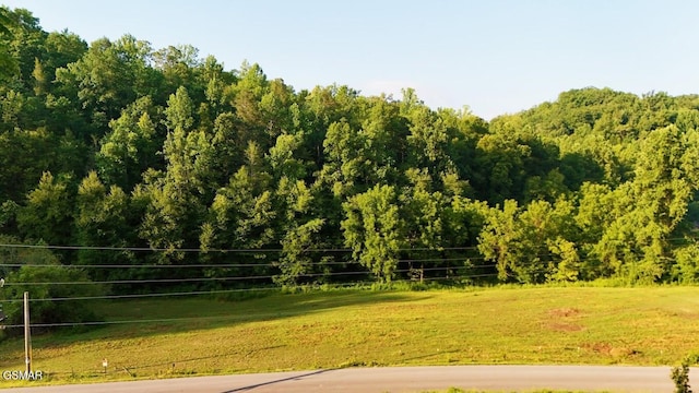 2359 Grassy Branch Rd, Sevierville, TN 37876 - surrounding community with a lawn and a view of trees