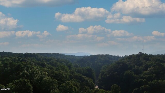 2359 Grassy Branch Rd, Sevierville, TN 37876 - view of mountain background with a heavily wooded area