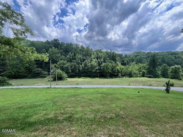2359 Grassy Branch Rd, Sevierville, TN 37876 - view of grassy yard with a view of trees