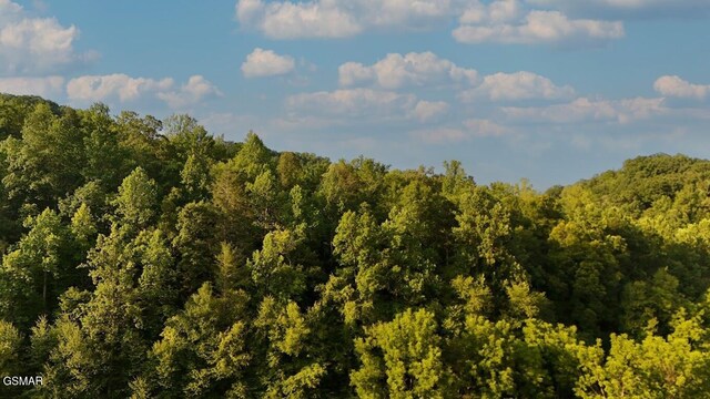 2359 Grassy Branch Rd, Sevierville, TN 37876 - view of woods