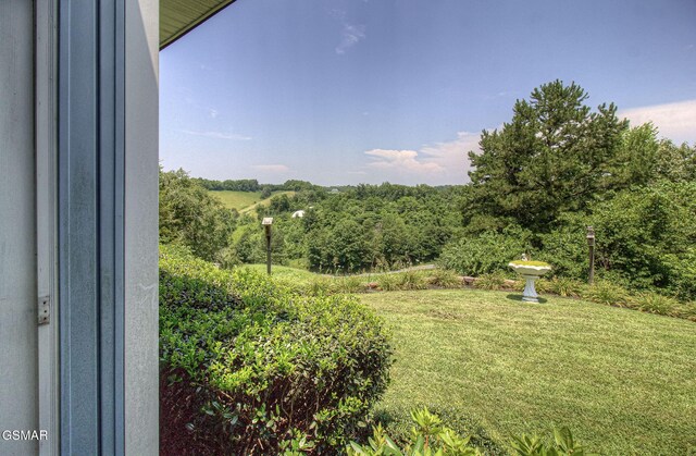 2146 Seaton Springs Rd, Sevierville, TN 37862 - photo 53
