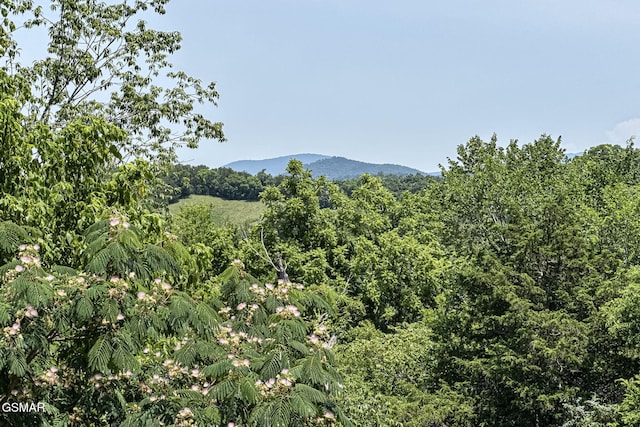 2146 Seaton Springs Rd, Sevierville, TN 37862 - photo 58