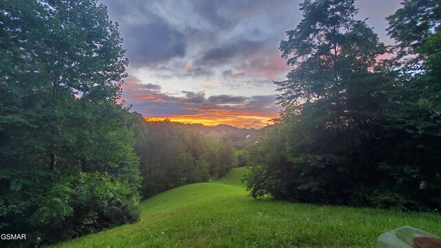 2146 Seaton Springs Rd, Sevierville, TN 37862 - photo 59