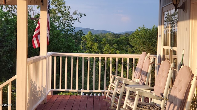 2146 Seaton Springs Rd, Sevierville, TN 37862 - photo 60