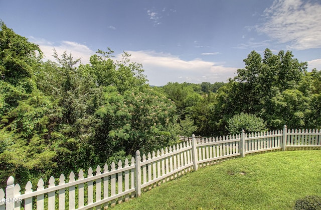 2146 Seaton Springs Rd, Sevierville, TN 37862 - photo 48