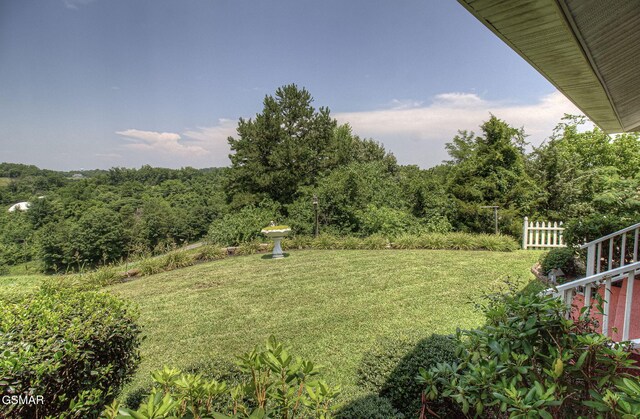 2146 Seaton Springs Rd, Sevierville, TN 37862 - photo 45