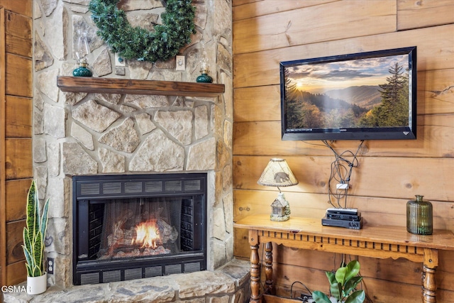 room details featuring wood walls and a stone fireplace