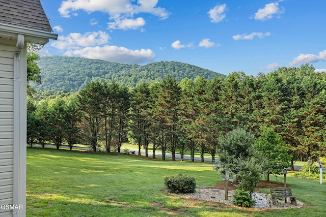 328 Hansels Lea, Sevierville, TN 37876 - photo 48