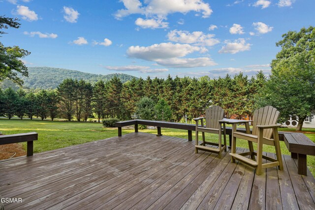 328 Hansels Lea, Sevierville, TN 37876 - photo 36