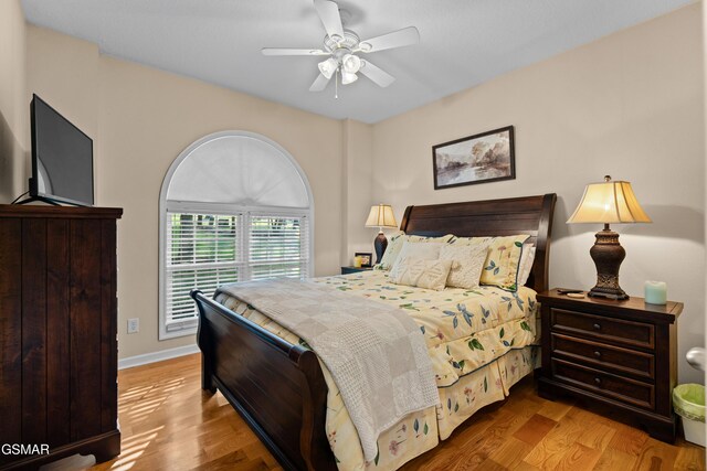 328 Hansels Lea, Sevierville, TN 37876 - photo 21