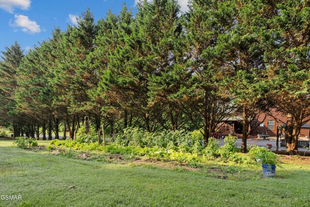 328 Hansels Lea, Sevierville, TN 37876 - photo 45