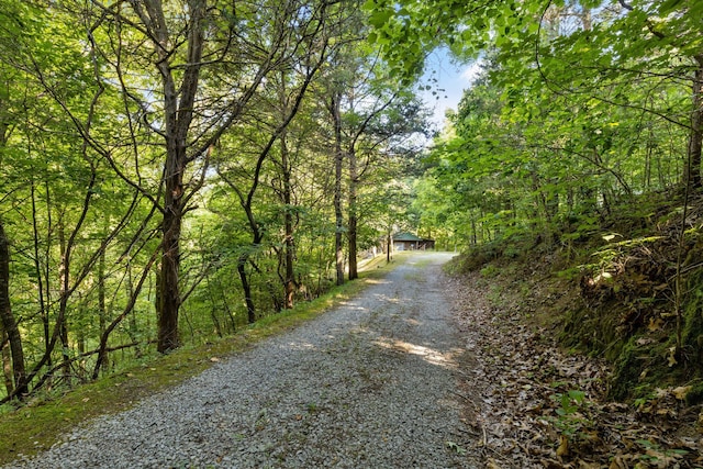 3530 Needles Way, Sevierville, TN 37876 - photo 6
