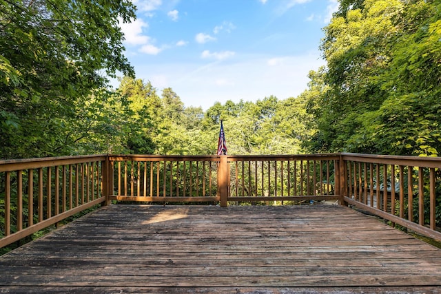 3530 Needles Way, Sevierville, TN 37876 - photo 43